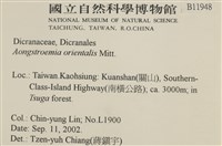 東亞昂氏蘚,東方昂氏蘚藏品圖，第2張