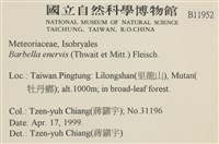 登錄號:B00011952藏品圖，第2張