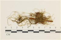 登錄號:B00011952藏品圖，第1張