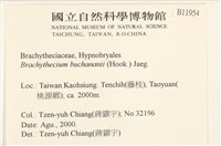 細枝青蘚藏品圖，第2張