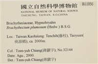 羽枝青蘚藏品圖，第2張