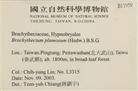 羽枝青蘚藏品圖，第2張