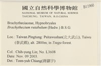 卵葉青蘚藏品圖，第2張