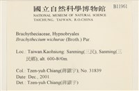 威氏青蘚藏品圖，第2張