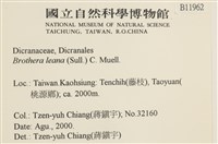 登錄號:B00011962藏品圖，第2張