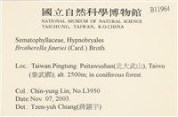 東亞小錦蘚藏品圖，第2張