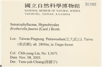 東亞小錦蘚藏品圖，第2張