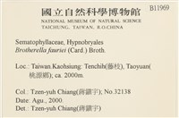 東亞小錦蘚藏品圖，第2張