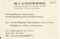 登錄號:B00011971藏品圖，第2張