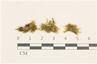 登錄號:B00011976藏品圖，第1張