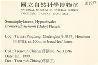 登錄號:B00011977藏品圖，第2張