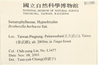 登錄號:B00011980藏品圖，第2張