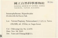 登錄號:B00011981藏品圖，第2張