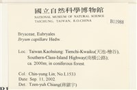 細葉真蘚藏品圖，第2張