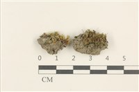 登錄號:B00011990藏品圖，第1張