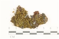 登錄號:B00011991藏品圖，第1張