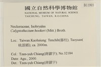 登錄號:B00011993藏品圖，第2張