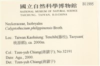 登錄號:B00011995藏品圖，第2張