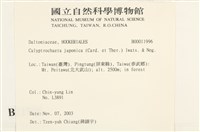 登錄號:B00011996藏品圖，第2張