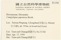 日本曲柄蘚藏品圖，第2張