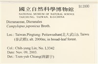 日本曲柄蘚藏品圖，第2張