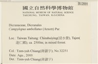 登錄號:B00012001藏品圖，第2張