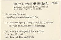 登錄號:B00012003藏品圖，第2張