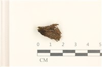 登錄號:B00012003藏品圖，第1張