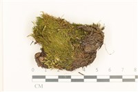 登錄號:B00012004藏品圖，第1張