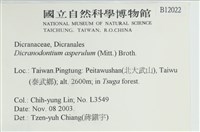粗毛青毛蘚藏品圖，第2張