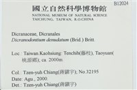 青毛苔藏品圖，第2張