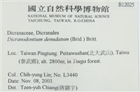 青毛苔藏品圖，第2張