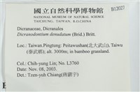 青毛苔藏品圖，第2張
