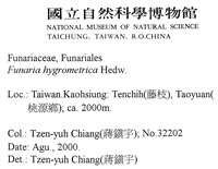 葫蘆蘚藏品圖，第2張