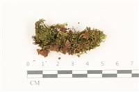 登錄號:B00012378藏品圖，第1張