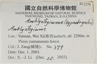 登錄號:B00012379藏品圖，第2張