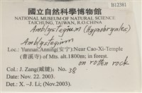 登錄號:B00012381藏品圖，第2張