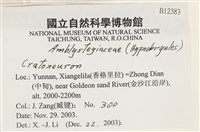 登錄號:B00012383藏品圖，第2張