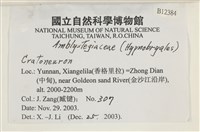 登錄號:B00012384藏品圖，第2張