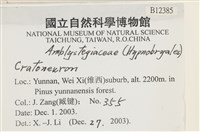 登錄號:B00012385藏品圖，第2張