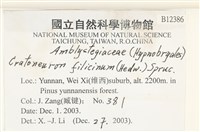 登錄號:B00012386藏品圖，第2張