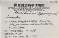 登錄號:B00012390藏品圖，第2張