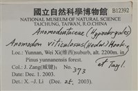 登錄號:B00012392藏品圖，第2張