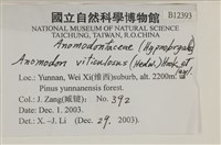 登錄號:B00012393藏品圖，第2張