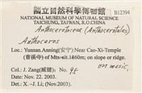 登錄號:B00012394藏品圖，第2張