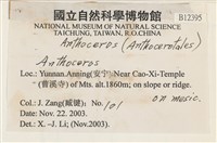 登錄號:B00012395藏品圖，第2張