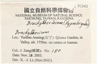 登錄號:B00012401藏品圖，第2張