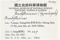 登錄號:B00012402藏品圖，第2張