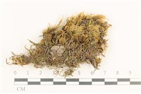 登錄號:B00012402藏品圖，第1張