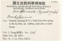 登錄號:B00012403藏品圖，第2張